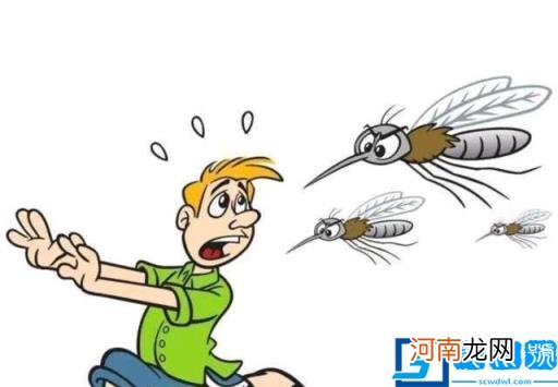 b型血招蚊子吗 o型血招蚊子吗