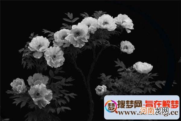 梦见死去的亲人了是什么意思 梦见死去的亲人,什么意思