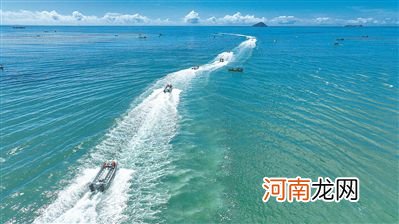 陆军某旅开展海上搜救演练