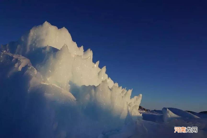为什么南极比北极冷 南极和北极哪个地方更冷一些