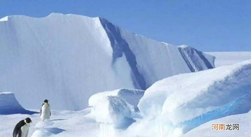 为什么南极比北极冷 南极和北极哪个地方更冷一些