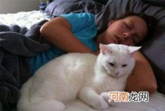 猫咪知道人在睡觉吗 人睡觉之后猫会不会叫你