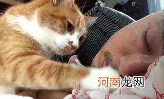 猫咪知道人在睡觉吗 人睡觉之后猫会不会叫你