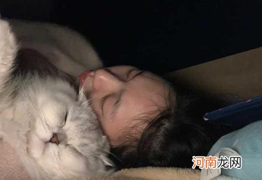 猫咪知道人在睡觉吗 人睡觉之后猫会不会叫你