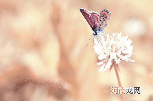 瞎纠结啥：啥星座总爱自己搞自己