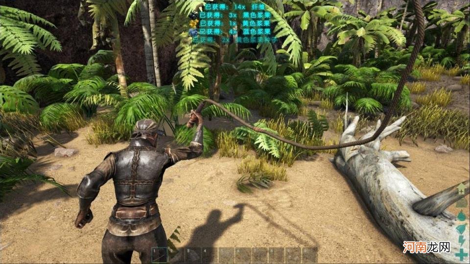 镰刀龙类 镰刀龙食物介绍及喂养技巧