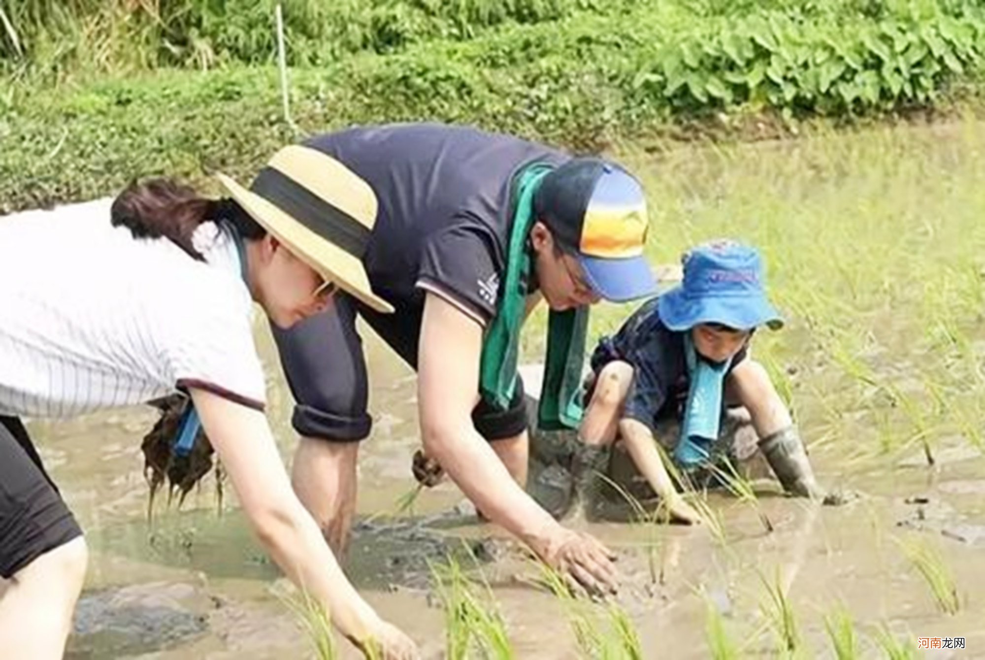 霍启刚“平民式”养娃方式，获网友热赞：这才是真正“豪门”育儿