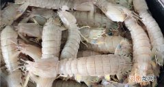 皮皮虾最好吃的5种做法 皮皮虾的做法大全