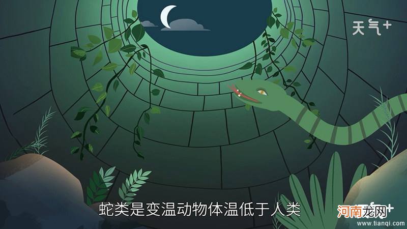 梦到被蛇咬是什么征兆学生时代 学生梦到自己被蛇咬是什么意思