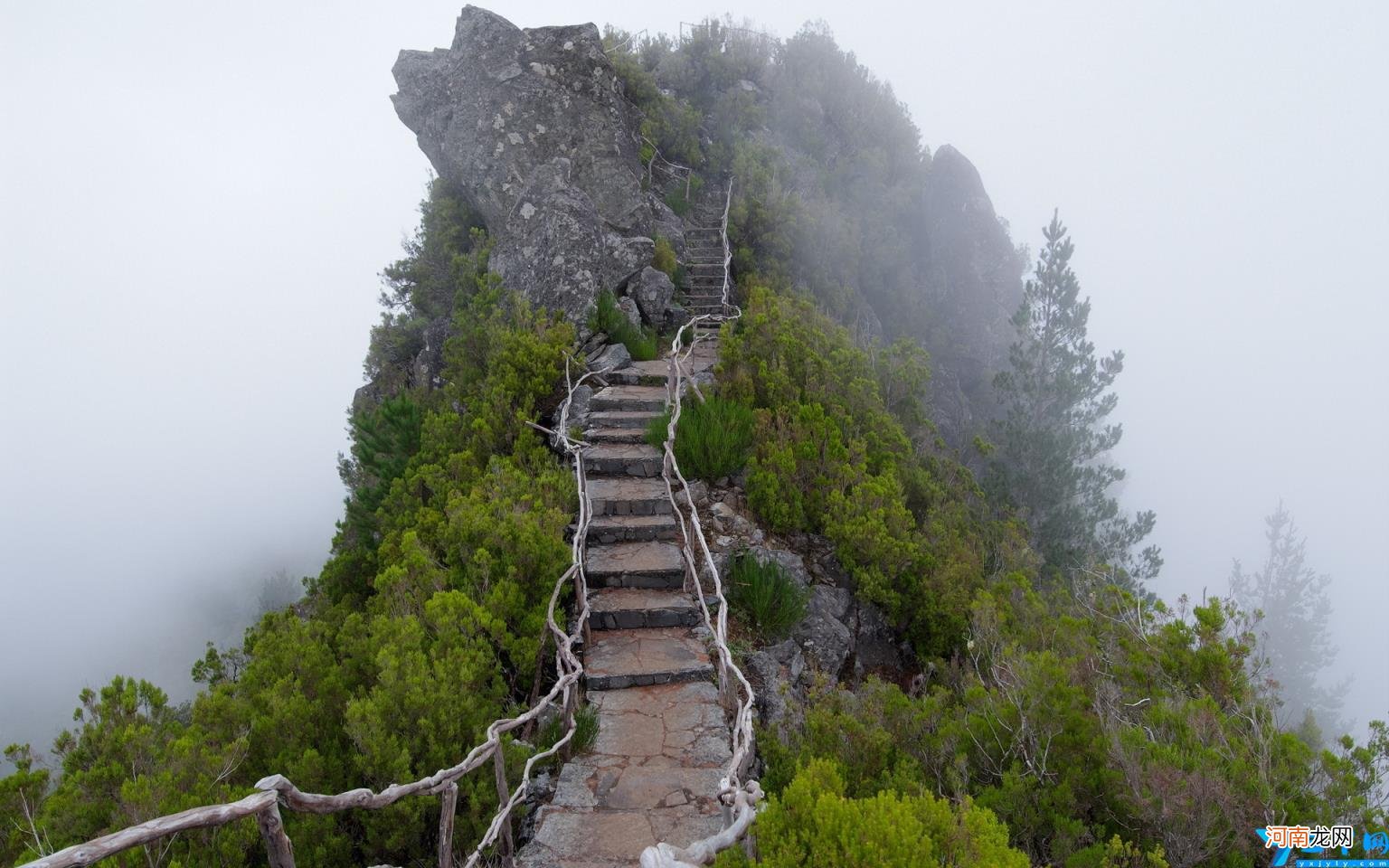 简单的自我介绍怎么说 介绍自己的一段话