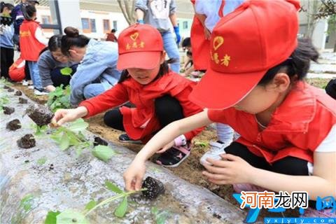 徐州市南湖小学上榜第一现代化教育理念 徐州市公立小学排名榜