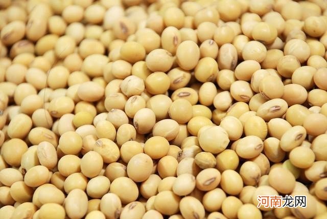 毛豆和黄豆你分清了吗 黄豆和毛豆是不是一种东西