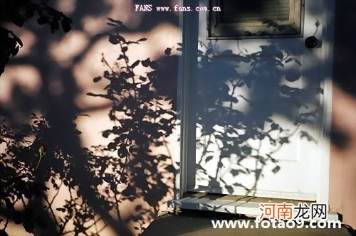 梦见调换衣服是什么意思 梦见自己在换衣服是什么意思