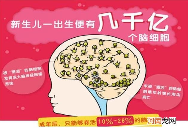 哈佛历时75年研究发现：越大越笨的孩子，小时候都有这4个坏习惯