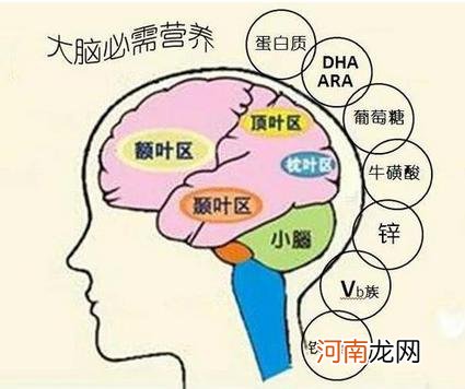 哈佛历时75年研究发现：越大越笨的孩子，小时候都有这4个坏习惯