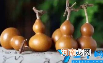 葫芦为什么不能送人 葫芦不能随便送人