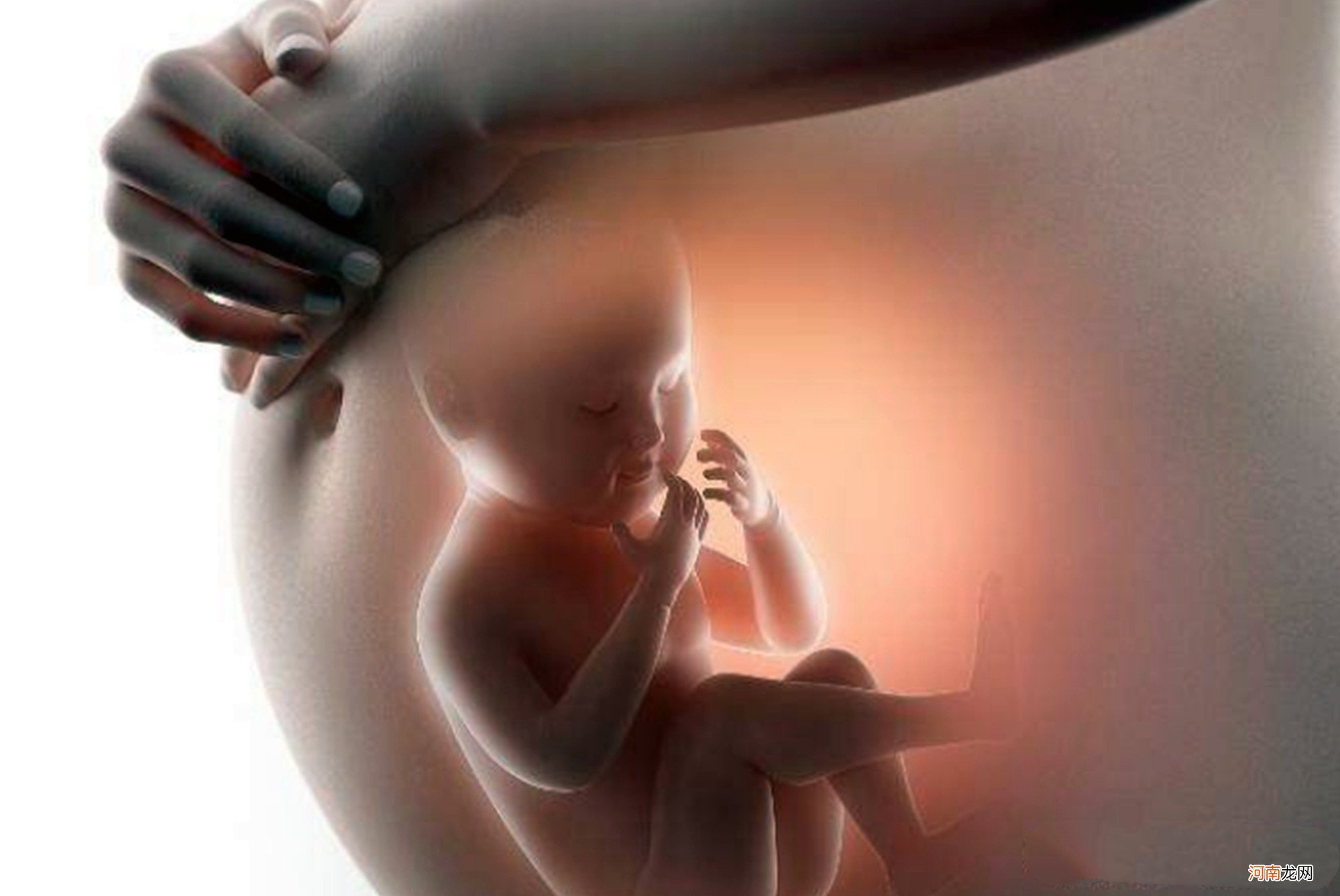 胎儿在妈妈肚子里10个月，可智力发育只有3周，抓住让宝宝更聪明