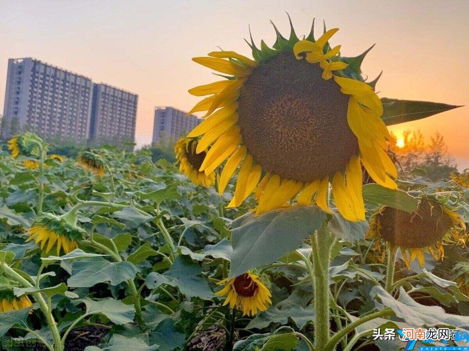 浙江大学怎么样 浙江工商大学2022年最新世界大学排名