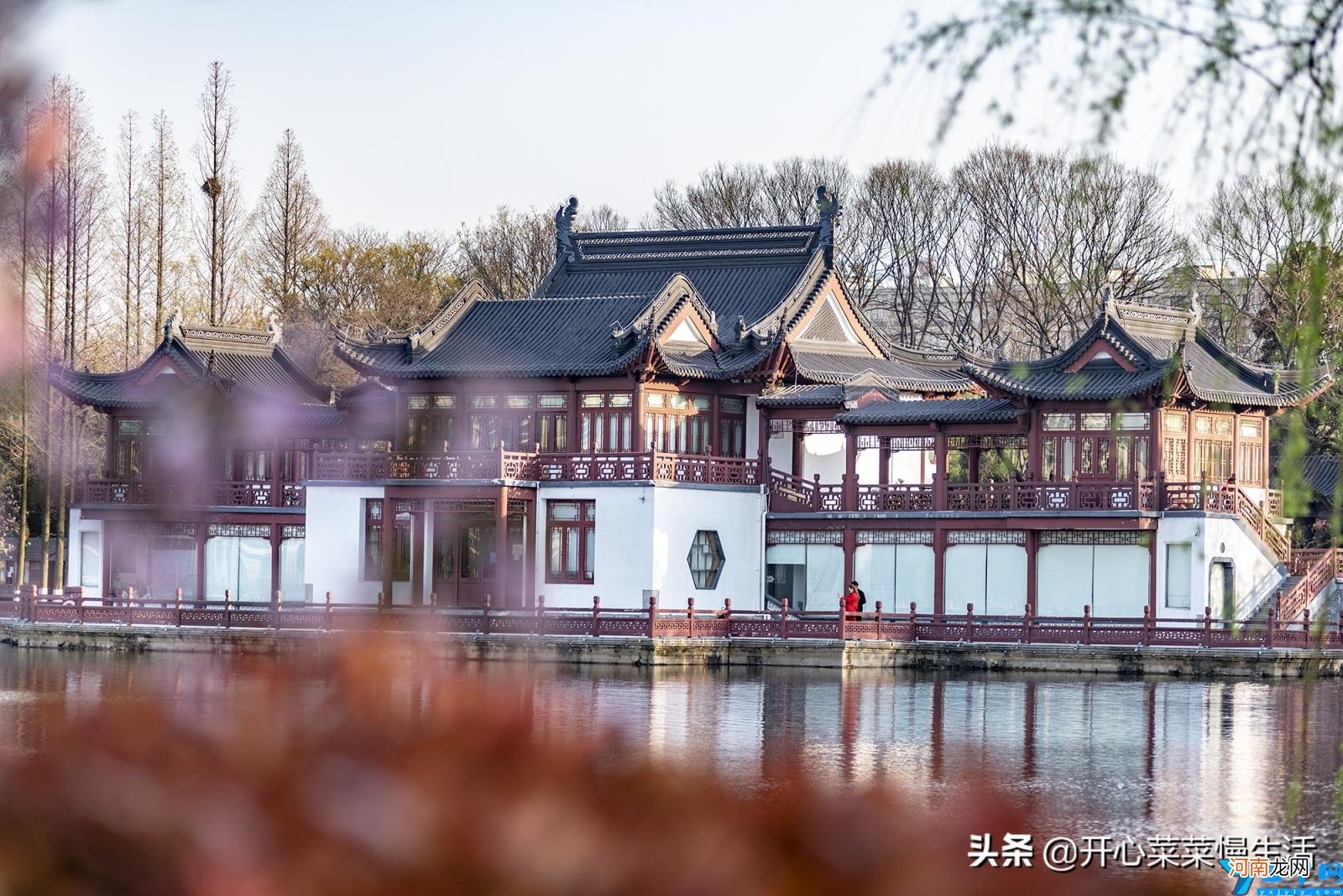 南京附近有樱花的地方 南京樱花在哪里看