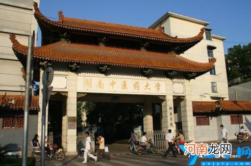 10篇 全国中医学专业大学排名