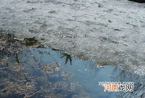 解梦河 解梦河堤要决堤