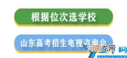 各学校往年录取成绩在哪查 2022年大学录取分数线查询网站