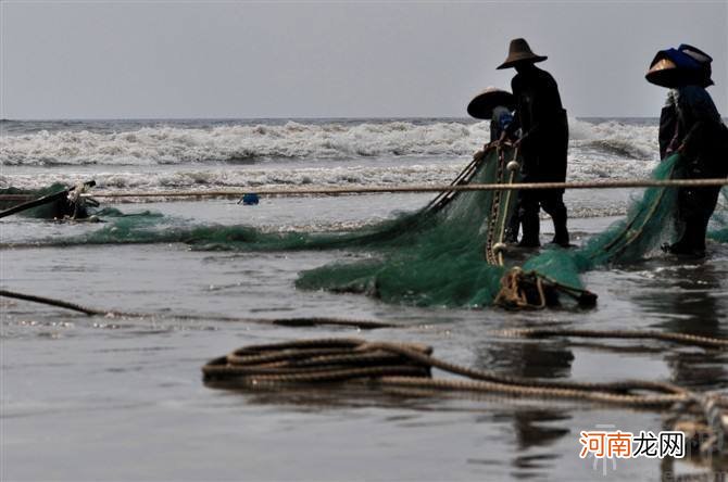 解梦见杀鱼 做梦梦见杀鱼