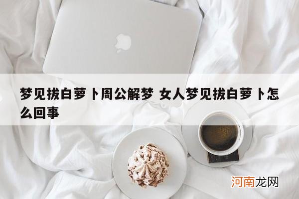 梦见拔白萝卜周公解梦 女人梦见拔白萝卜怎么回事