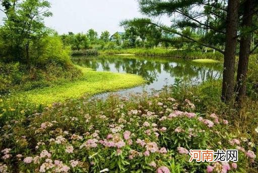 马云杭州西溪湿地公园 马云捐款1亿元保护西溪湿地