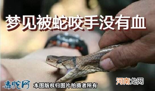 梦见被蛇咬周公解梦 梦见被蛇咬周公解梦网