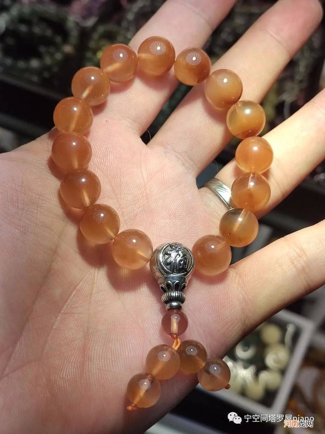 宁空间塔罗屋 一周星程 8月21日-8月27日 太阳进入处女座