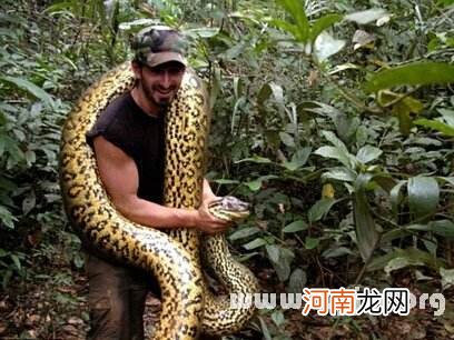 周公解梦梦见抓蛇 周公解梦梦见抓蛇是什么预兆