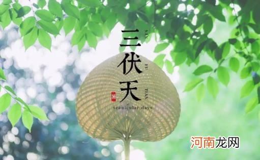 2022年三伏天最热多少度 2022年三伏天最高温度是多少
