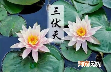 2022年三伏天最热多少度 2022年三伏天最高温度是多少