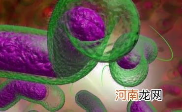 霍乱为什么可以自愈 霍乱病是由什么引起的