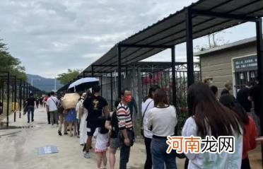 得了霍乱会怎么样 霍乱一般多少天会治愈