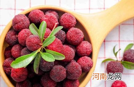 杨梅是温性水果还是寒性水果 杨梅是凉性还是热性