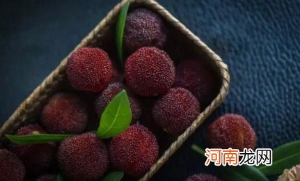 杨梅是温性水果还是寒性水果 杨梅是凉性还是热性