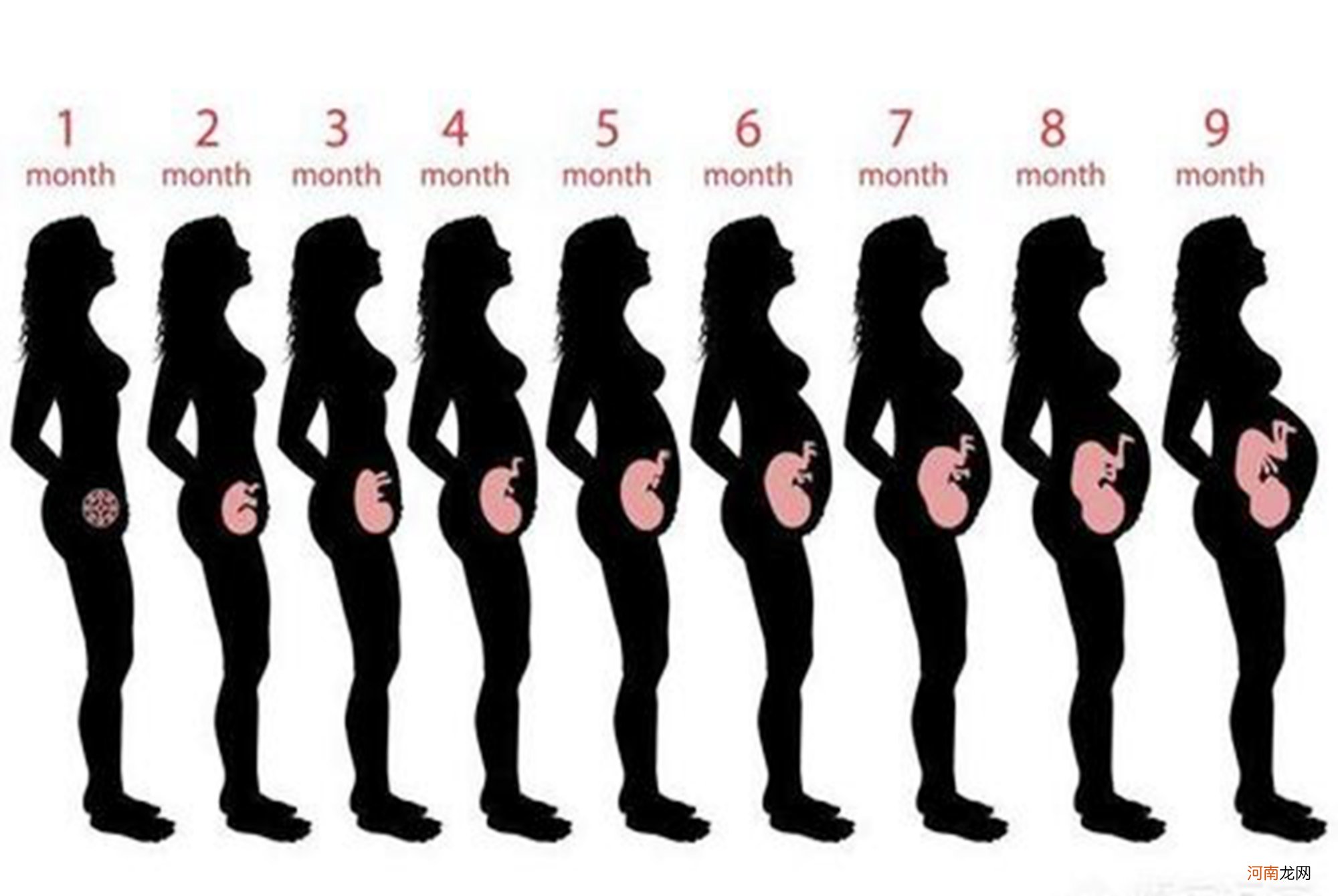 孕早期B超单上的四个指标，暗含了胎儿的“小秘密”，你看得懂吗
