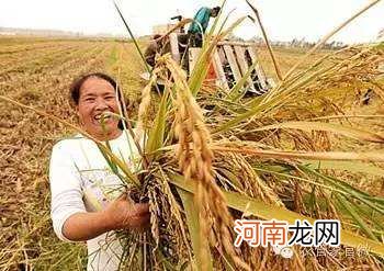 做好返乡创业配套扶持 健全返乡创业青年服务政策