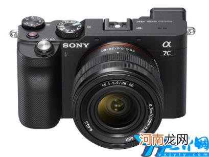 买微单就从这12款里挑 微单买哪个