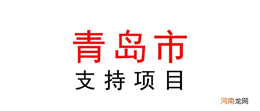 青岛政府创业扶持政策 青岛市政府创业补贴政策