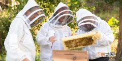 养蜂人的创业扶持 养蜂人的创业扶持措施
