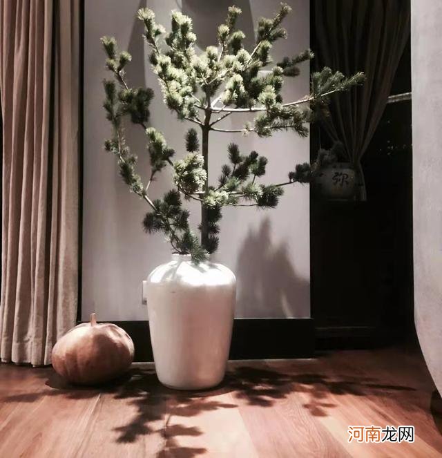 43岁殷桃在北京的豪宅，家中布满名贵花草和家具，价值超百万