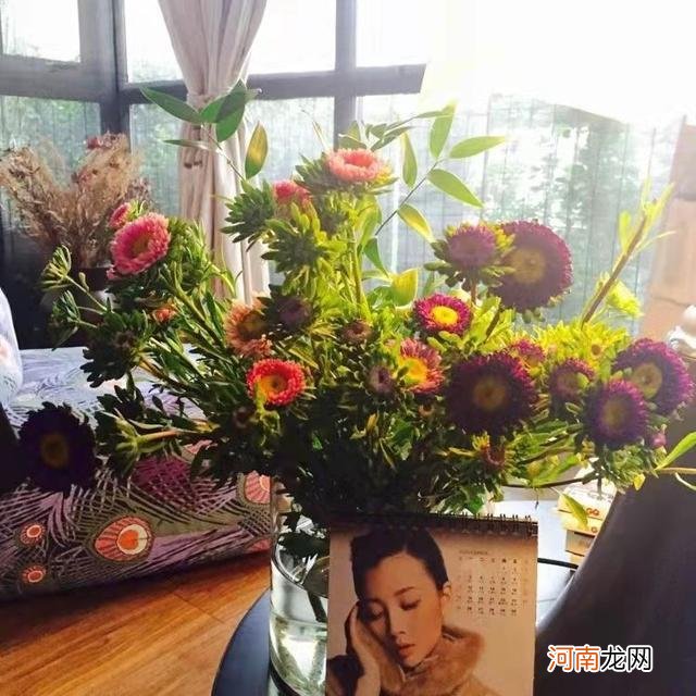 43岁殷桃在北京的豪宅，家中布满名贵花草和家具，价值超百万