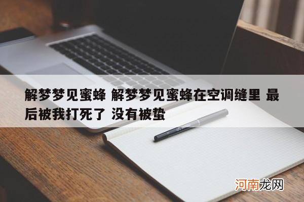 解梦梦见蜜蜂 解梦梦见蜜蜂在空调缝里 最后被我打死了 没有被蛰