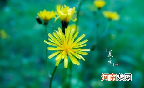 2022年夏至后哪天入伏 2022年夏至后几天入伏