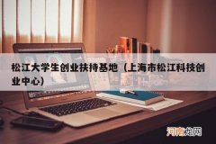 上海市松江科技创业中心 松江大学生创业扶持基地