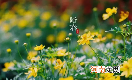 2022年大学生清明出省玩要向学校报备吗