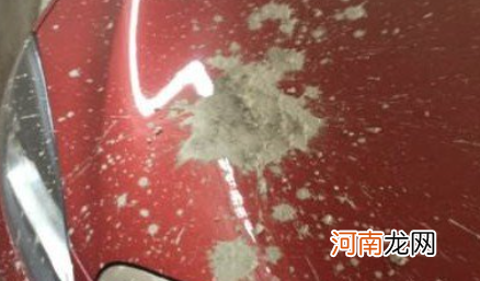 汽车上水泥浆干了怎么清除